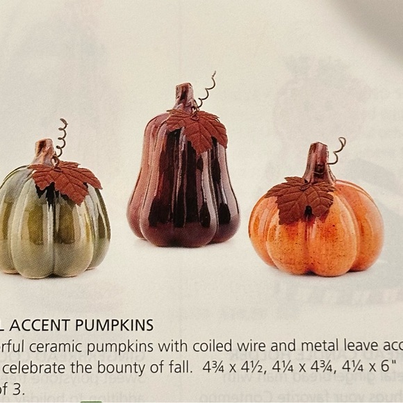 Celebrating Home Fall Accent Ceramic Pumpkin Shaped - Picture 2 of 8
